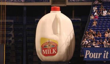 What’s the strangest or most unique object in the history of your teams stadium?