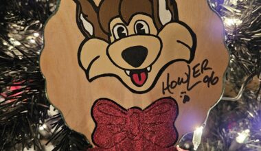 A Coyotes Holiday Story (Story in comments!)