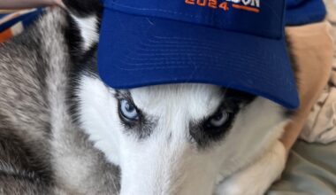 She’s the newest Mets Fan