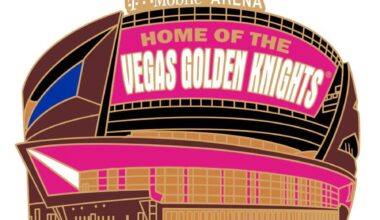 Can anyone help me obtain this lapel pin for my visited arena pin collection?