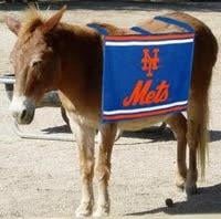 TIL about Mettle the Mule, who was the Mets mascot for a short time in 1976