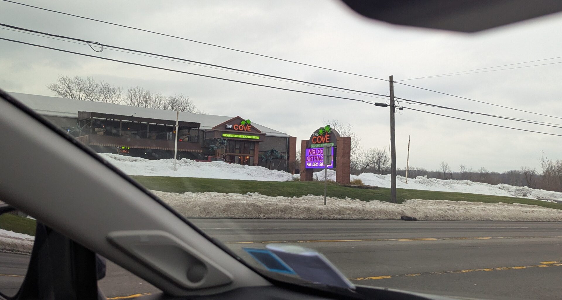 Buffalo absolutely has Palm trees