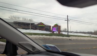 Buffalo absolutely has Palm trees