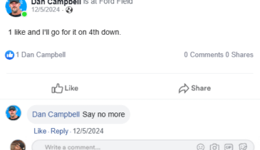 Brand New Lions decision making