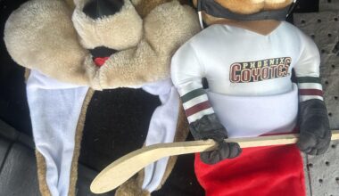 Thrift Store haul, anybody got info on these?