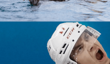 IT'S GAMEDAY!!! Awww, what a cute otter!  Did you know that they- OH MY FUCKING GOD THERE'S A SHARK, JIMMY LOOK AWAY THE SHARK IS GOING GO FUCKING KILL THE OTTER!!!