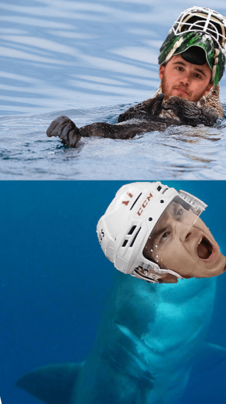 IT'S GAMEDAY!!! Awww, what a cute otter!  Did you know that they- OH MY FUCKING GOD THERE'S A SHARK, JIMMY LOOK AWAY THE SHARK IS GOING GO FUCKING KILL THE OTTER!!!