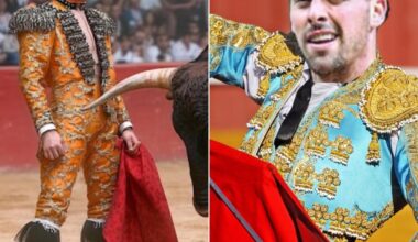 “Very Good” Bull Fighter