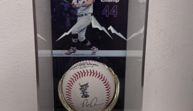 Baby come back… you can blame it all on me 🐻‍❄️