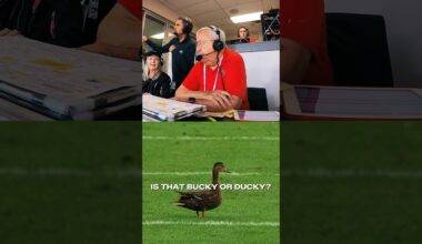 Is that Bucky or Ducky? It’s Ducky Irving! 🦆😂 #buccaneers #nfl #buckyirving #duck #florida