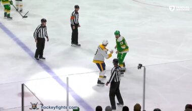 Jeremy Lauzon vs Marcus Foligno Dec 31, 2024