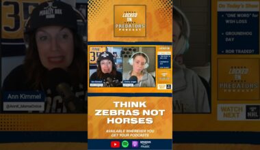 What Is Wrong with the Nashville Predators? Another Strong Performance. Another Loss.