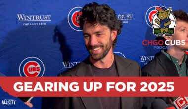 Dansby Swanson focused on resetting after late-season injury for Chicago Cubs | CHGO Cubs