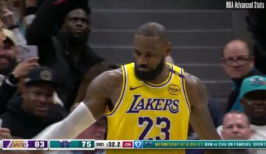 LeBron James 22 pts 7 reb 8 ast vs Charlotte Hornets | 2025-01-27