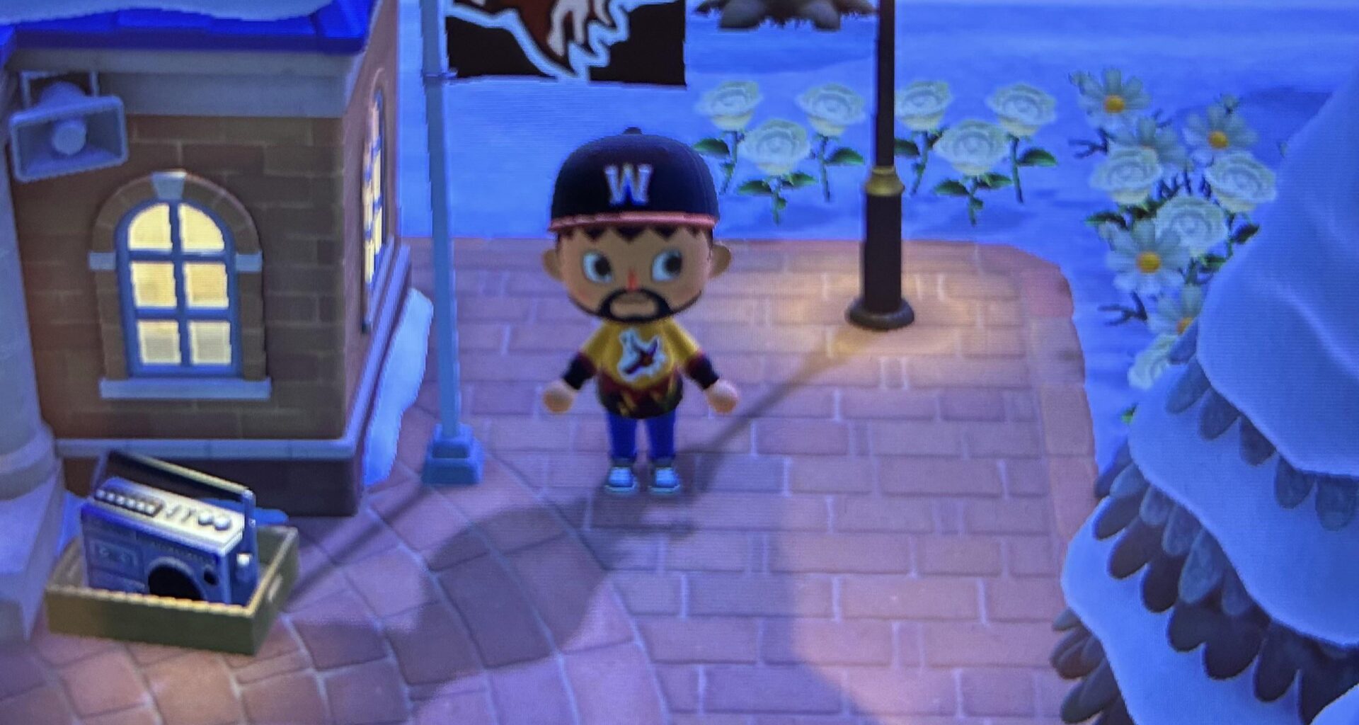 My character and island flag on Animal Crossing New Horizons. Thanks to whoever designed the sweater in the game!