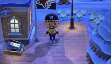 My character and island flag on Animal Crossing New Horizons. Thanks to whoever designed the sweater in the game!