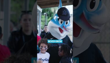 Step up to the plate with the pros! ⚾️