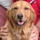 [Grossi] Andrew Berry on why he moved on from the team’s former starting QB: 'He’s doing a terrific job in Tampa. Certainly happy for him. A big part of quarterback's success and failure can be environment. ... There also is individual growth.'