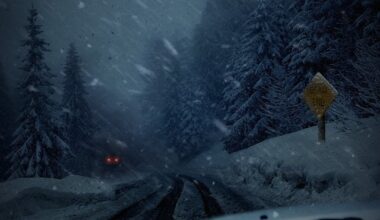 Do you see the wolf in the background? 👀