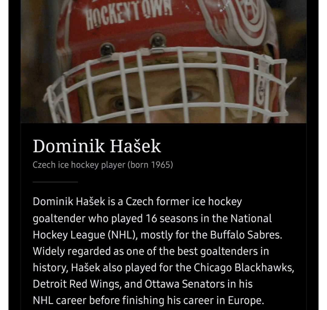 Today's featured Wikipedia article is Dominik Hašek!