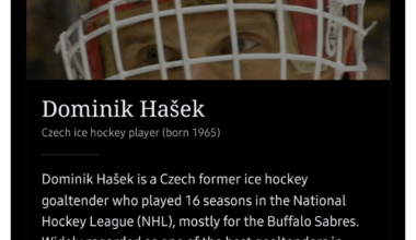 Today's featured Wikipedia article is Dominik Hašek!