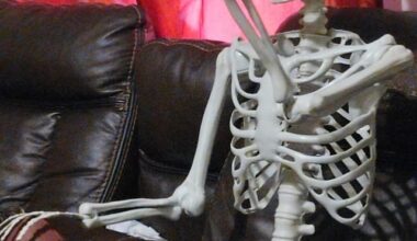 Me waiting for the next season