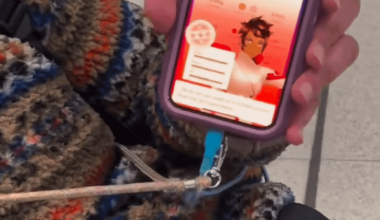 Zaidi if he landed Ohtani or Judge