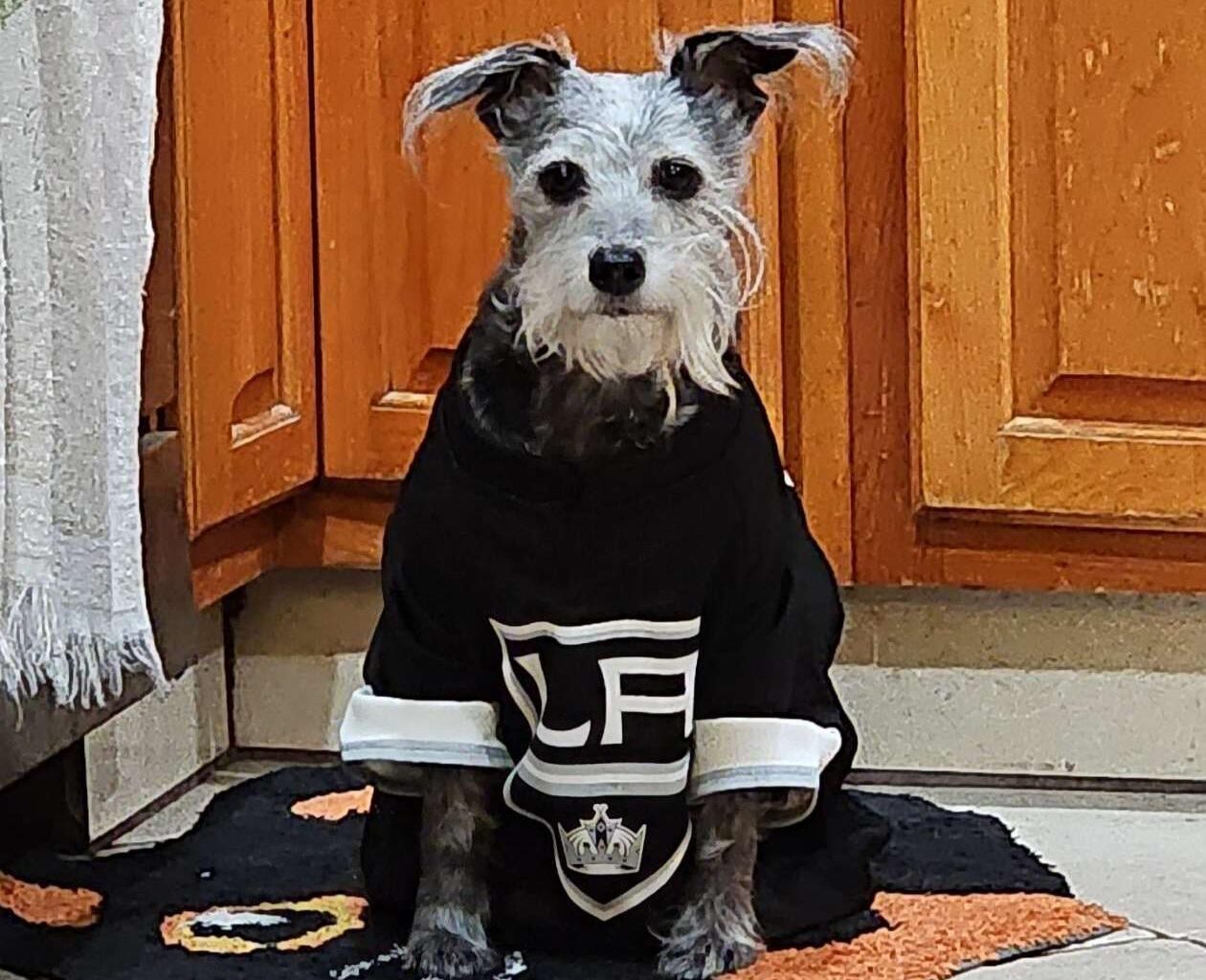 Someone is patiently waiting for puck drop