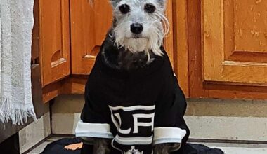 Someone is patiently waiting for puck drop