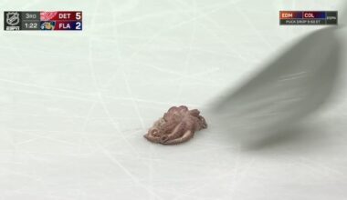 Couldn’t be any happier to see an octopus