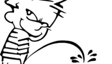 My thoughts on the Super Bowl