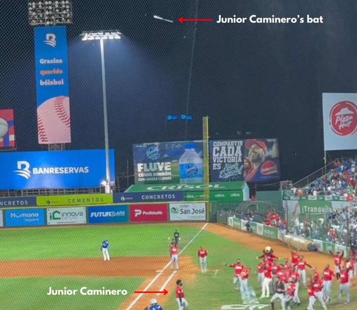 Winter league is a different breed of baseball