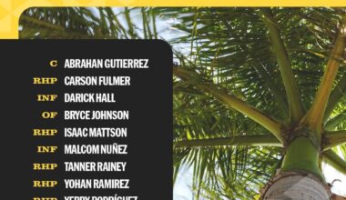 2025 Spring Training Non-Roster Invitees