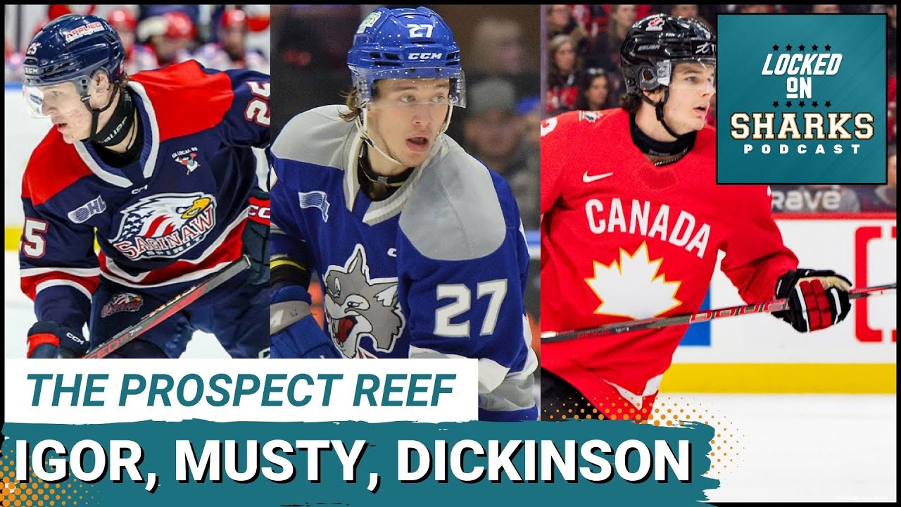 The Prospect Reef: Igor Chernyshov's INSANE Start, Quentin Musty Working, Sam Dickinson Development