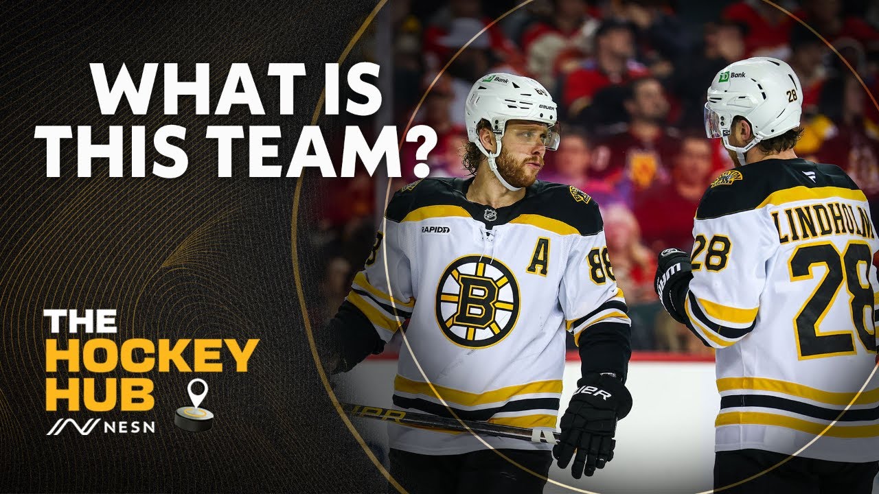What Kind Of Team Are The Bruins?