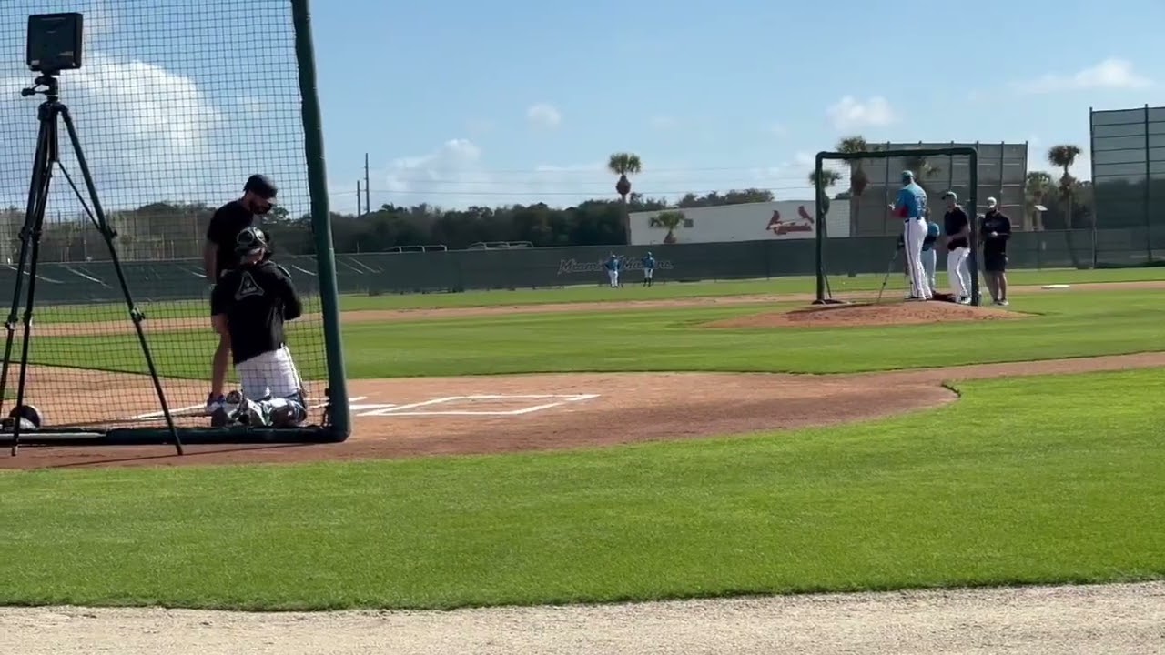 Derek Hill vs. Sandy Alcantara Live Batting Practice with Miami Marlins! (2025 MLB Spring Training)