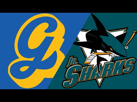 California Goldrush vs San Jose Sharks - Girls 16U AA Pacific District Playoffs - Feb 22