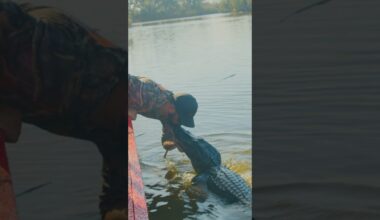 "How come he isn't trying to bite your hand?"