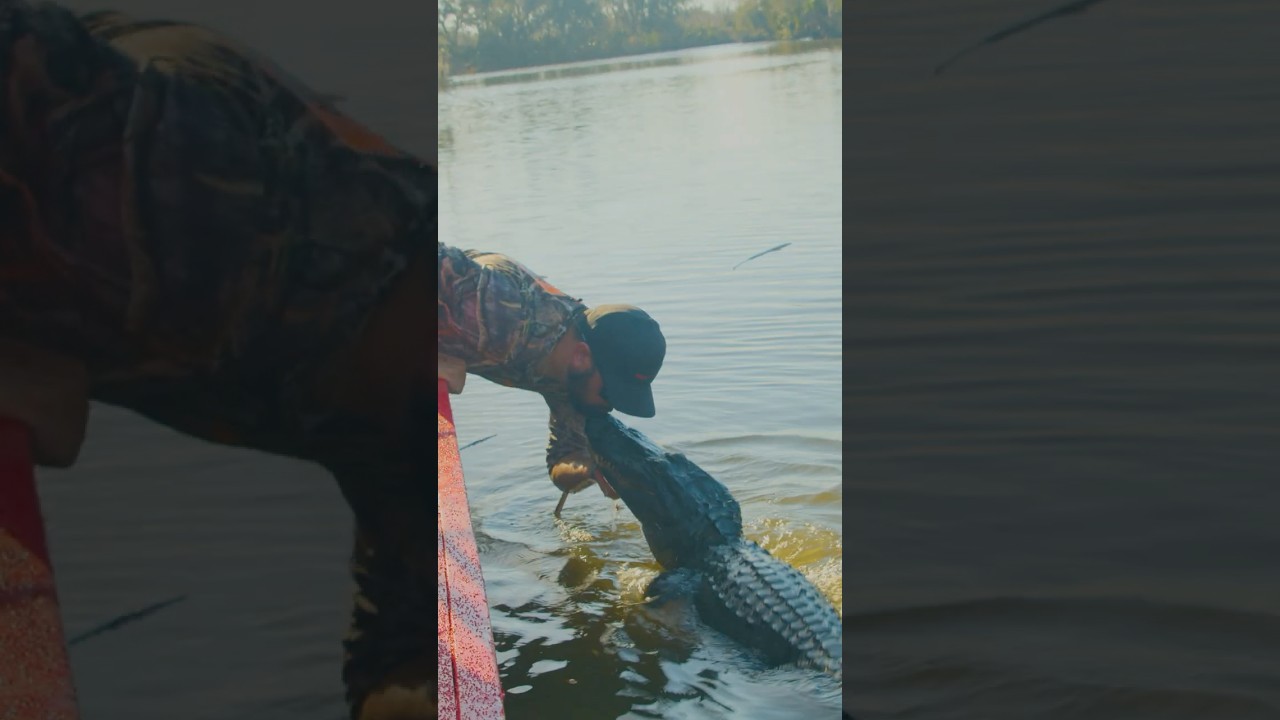 "How come he isn't trying to bite your hand?"