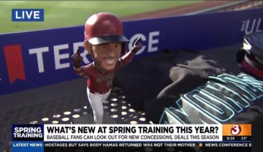 Arizona Diamondbacks giveaways for 2025 season