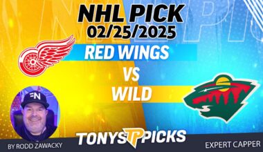 Detroit Red Wings vs Minnesota Wild 2/25/25 NHL Pick Prediction