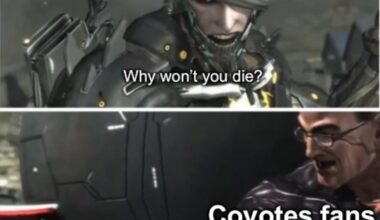 They will never hear the end of it till we get our team back