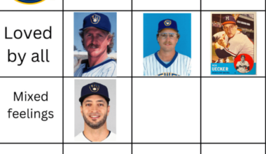 Braun was our good player that we have mixed feelings for. Day 5. Who's an average player that fans have mixed feelings about?