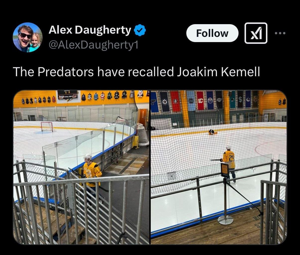 Your weekly /r/predators roundup for the week of February 06 - February 12, 2025