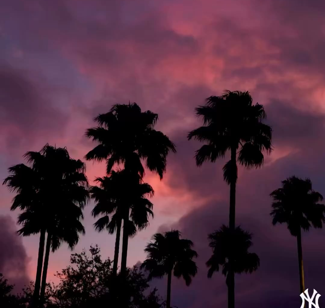 [Yankees] Let’s roll. #RepBX