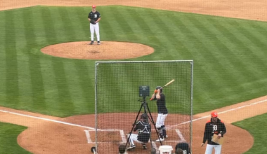 [Petzold] Jackson Jobe vs. Jace Jung. The results of the five pitches, in order: swing and miss, challenge (lost by Jung), ball, swing and miss, hit to left-center field
