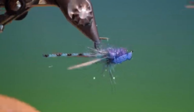 A HAT TRICK OF NEW APPROVED TRADEMARKS