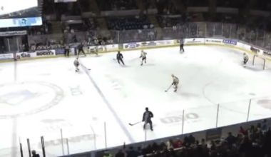 AHL last night - Michael Buchinger  [Blues] connects on SEVEN straight rights on Rutger McGroarty [Penguins].