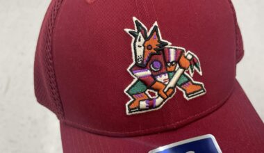 Bought this today to show support for my brothers down south