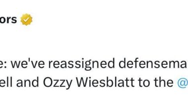 Gravel, Wiesblatt, and Kemell have been reassigned to the Admirals